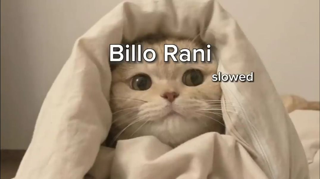 Billo Rani slowed and reverb _billorani _bollywoodsongs _bollywoodmovies _bollywood(720P_HD)