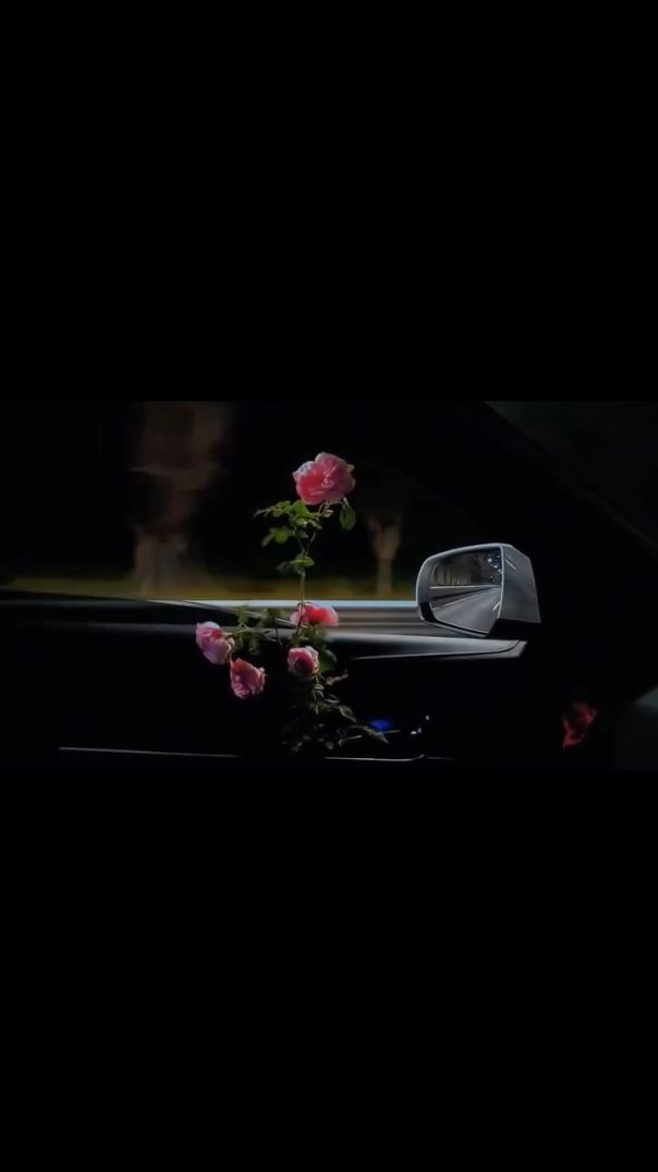 Mention your story 💐💕 _instagood _instagram _trending(MP4)