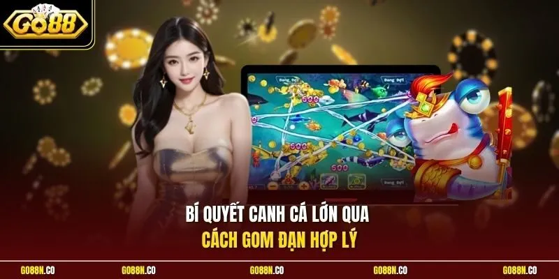 Bí quyết canh cá lớn qua cách gom đạn hợp lý